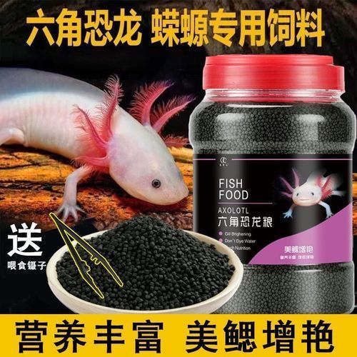 六角龍魚成魚專用飼料價格范圍是多少，六角龍魚成魚專用飼料有哪些品牌推薦