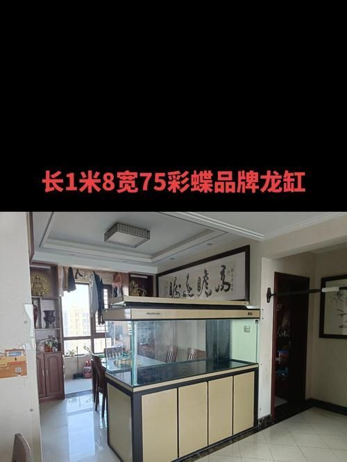 能提供龍魚缸品牌十大排名的圖片嗎？，龍魚缸品牌十大排名