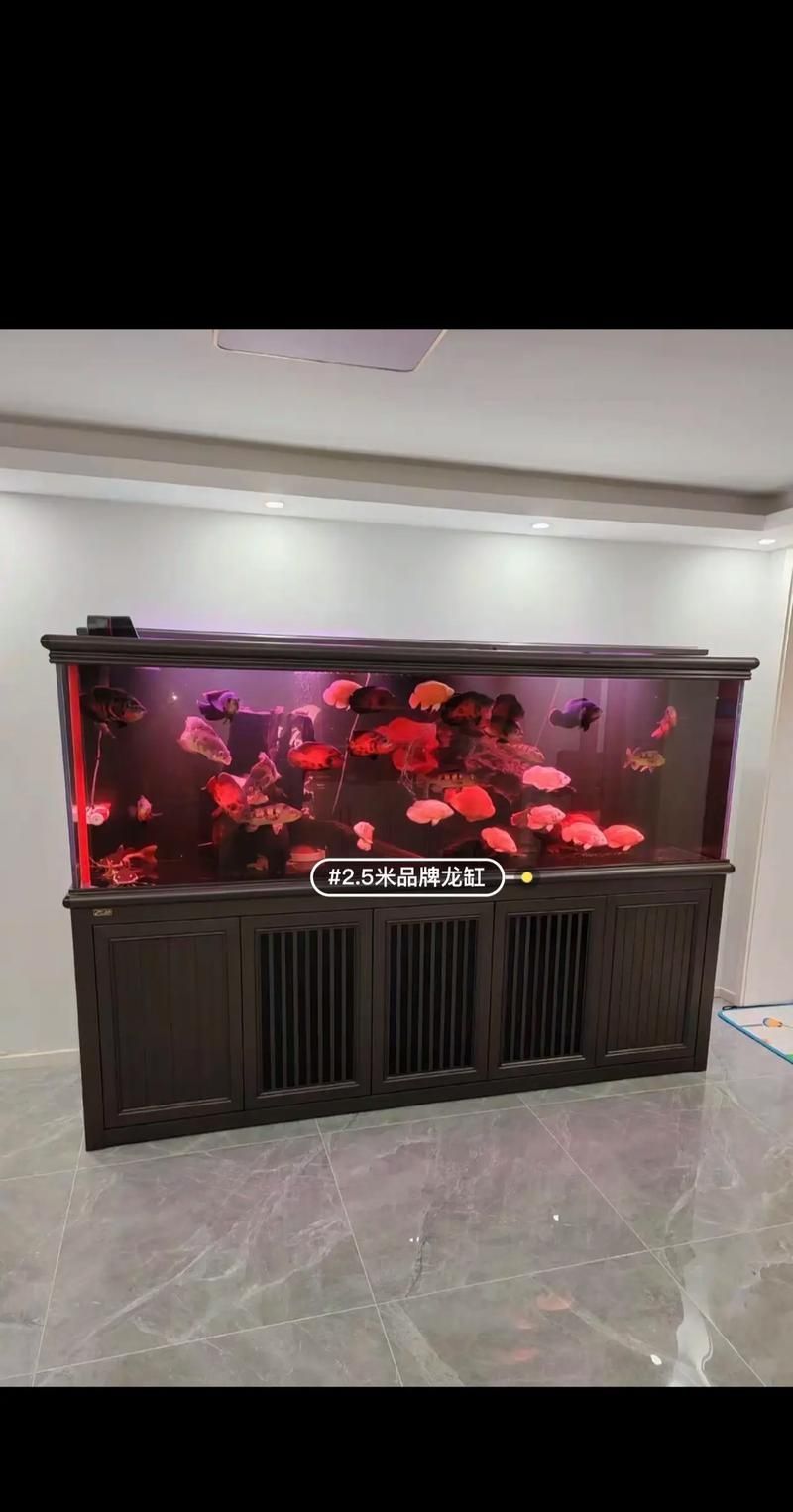 能提供龍魚缸品牌十大排名的圖片嗎？，龍魚缸品牌十大排名