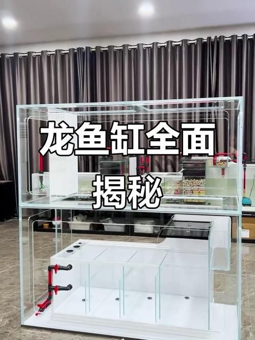 能提供龍魚缸品牌十大排名的圖片嗎？，龍魚缸品牌十大排名