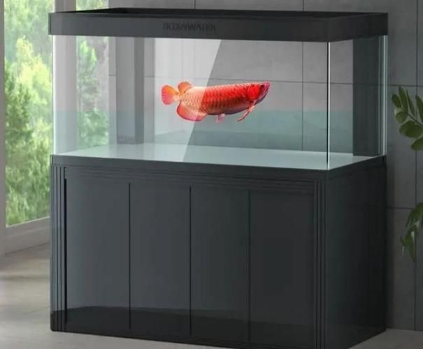 能提供龍魚缸品牌十大排名的圖片嗎？，龍魚缸品牌十大排名