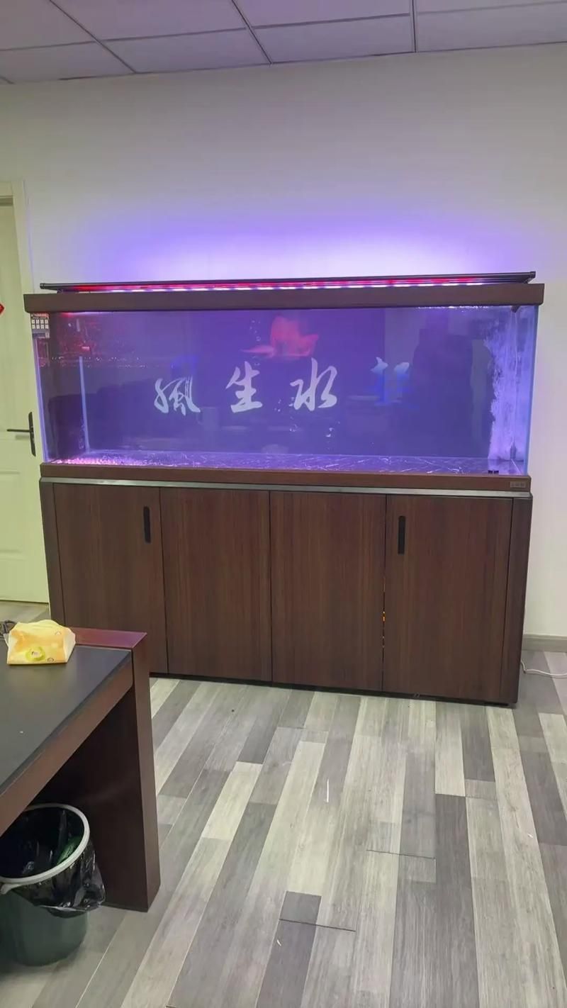 能提供龍魚缸品牌十大排名的圖片嗎？，龍魚缸品牌十大排名