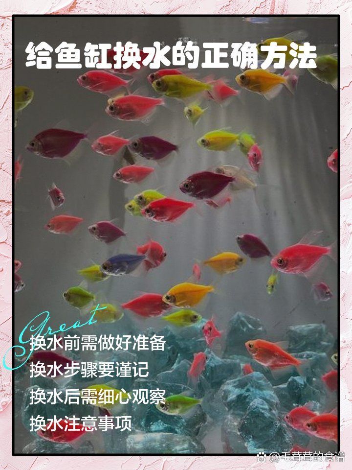 龍魚趴缸時可以換水嗎 龍魚趴缸時可以換水嗎 龍魚百科 第1張