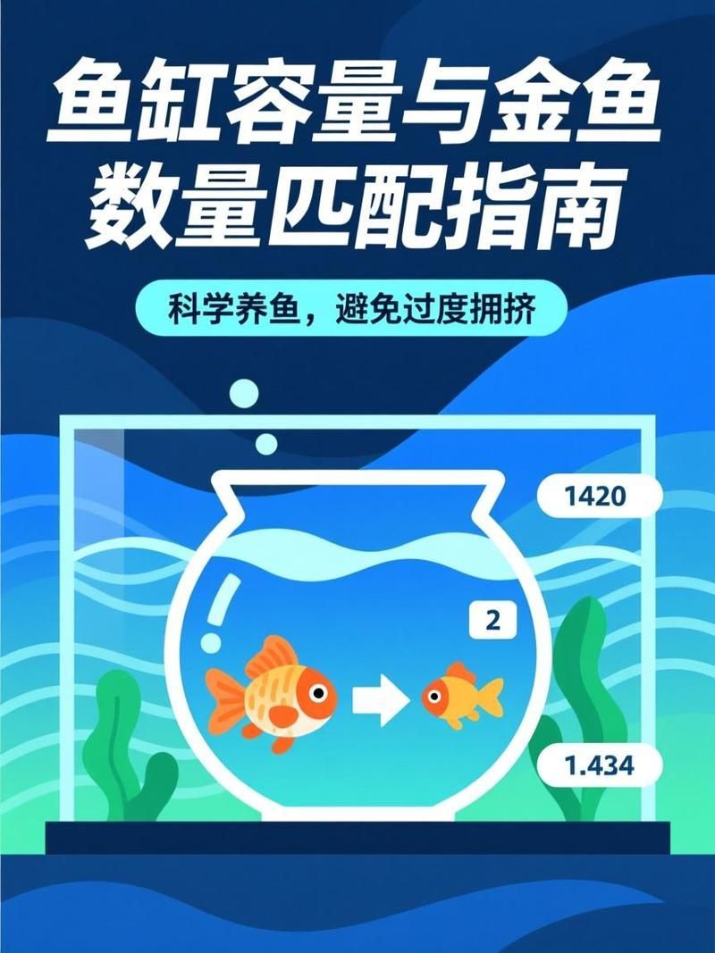 魚缸大小如何影響養魚數量，魚缸大小決定你能養多少魚