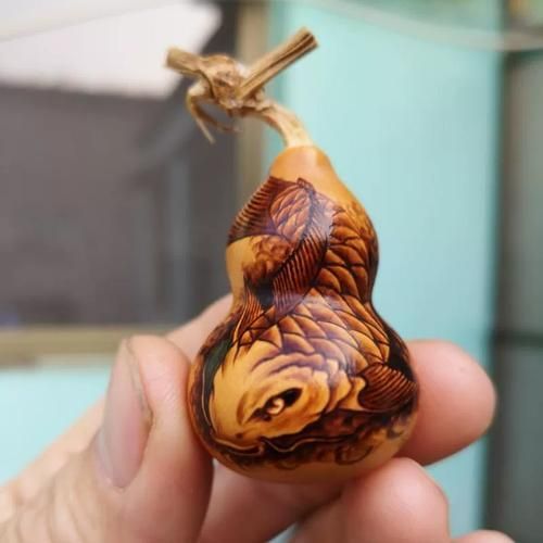 邢臺(tái)龍魚的價(jià)格是多少？，邢臺(tái)地區(qū)常見龍魚品種與價(jià)格對(duì)照表