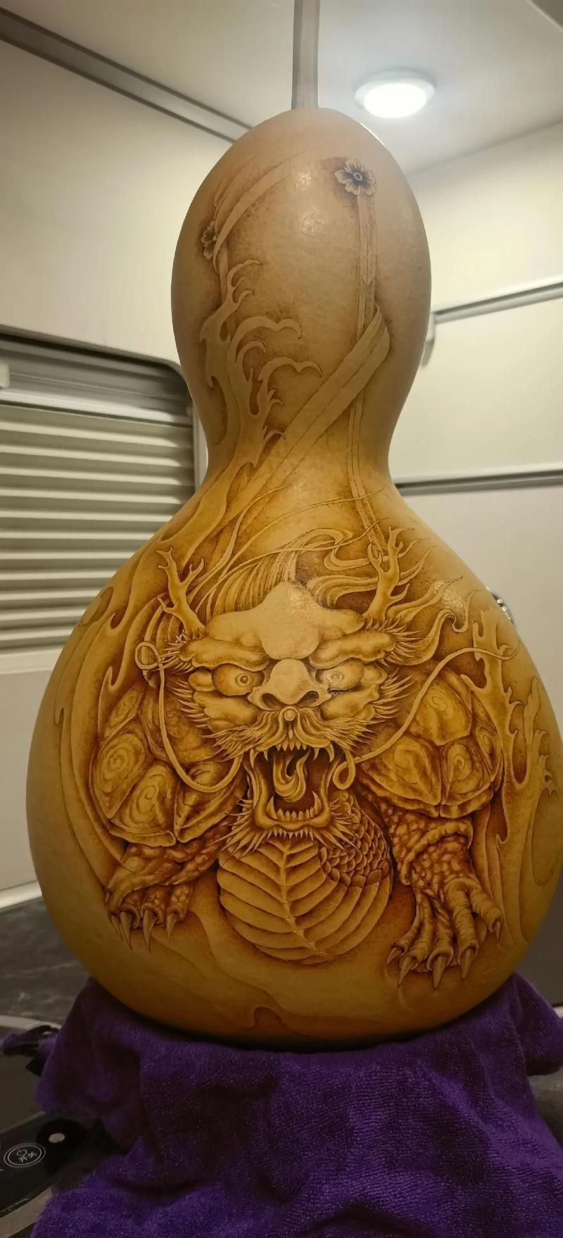 邢臺(tái)龍魚的價(jià)格是多少？，邢臺(tái)地區(qū)常見龍魚品種與價(jià)格對(duì)照表
