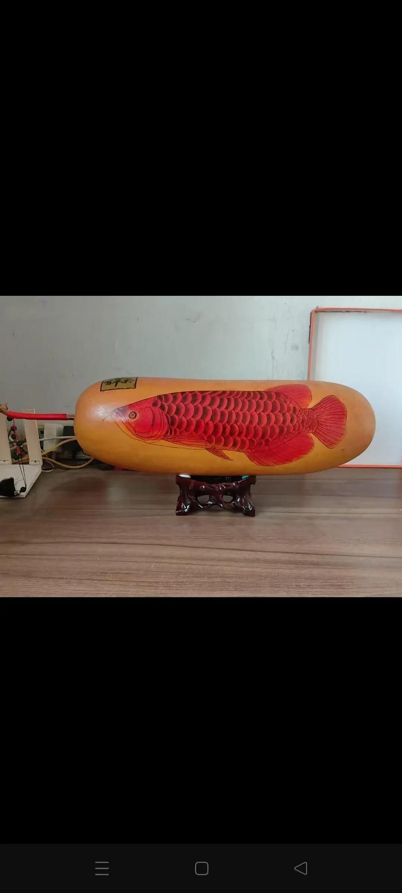 邢臺(tái)龍魚的價(jià)格是多少？，邢臺(tái)地區(qū)常見龍魚品種與價(jià)格對(duì)照表