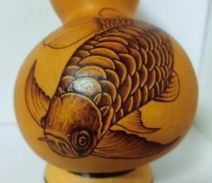 邢臺(tái)龍魚的價(jià)格是多少？，邢臺(tái)地區(qū)常見龍魚品種與價(jià)格對(duì)照表
