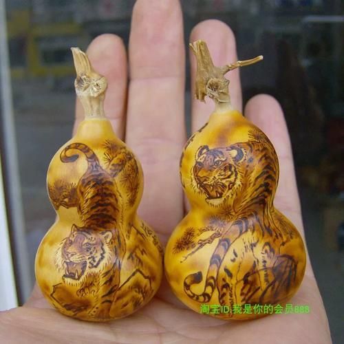 邢臺(tái)龍魚的價(jià)格是多少？，邢臺(tái)地區(qū)常見龍魚品種與價(jià)格對(duì)照表