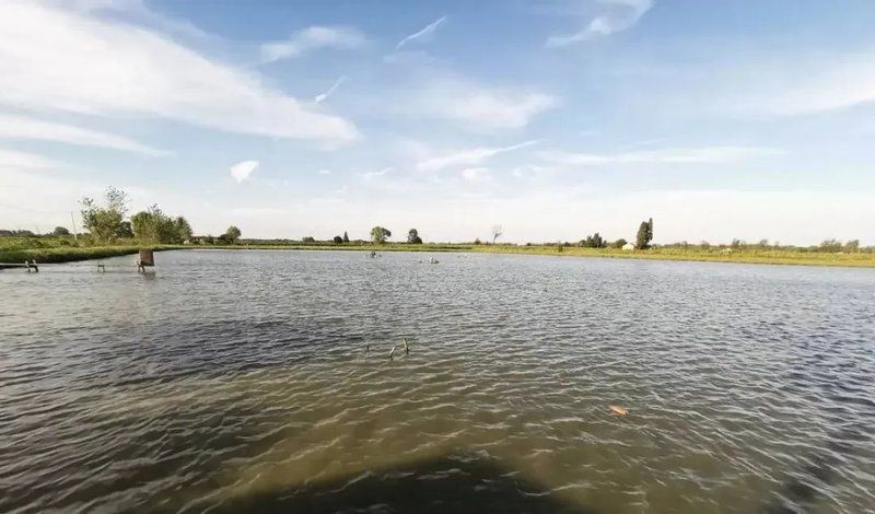 水霉病預防措施有哪些，冬季養魚必看:水霉病防治全攻略光影粒粒安,水霉病高發期