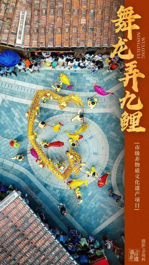 能否提供“舞龍弄九鯉”的詳細表演流程