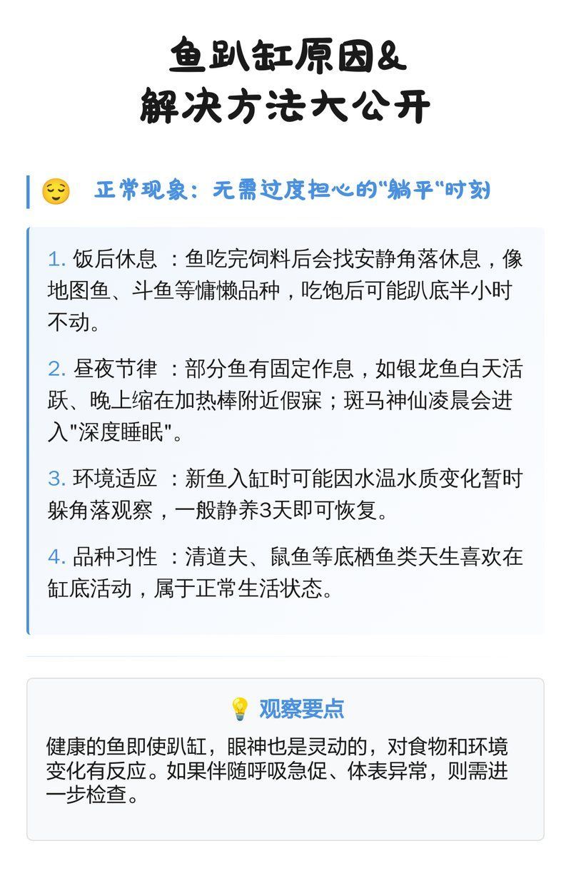 銀龍魚趴缸期間需要喂食嗎，銀龍魚趴缸期間需要喂食嗎銀龍魚趴缸期間需要喂食嗎 銀龍魚趴缸期間需要喂食嗎，銀龍魚趴缸期間需要喂食嗎銀龍魚趴缸期間需要喂食嗎 龍魚百科 第2張