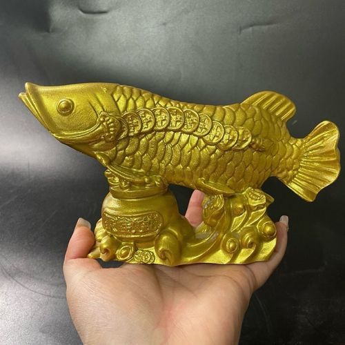 招財金龍魚圖片，招財金龍魚的風水擺放指南