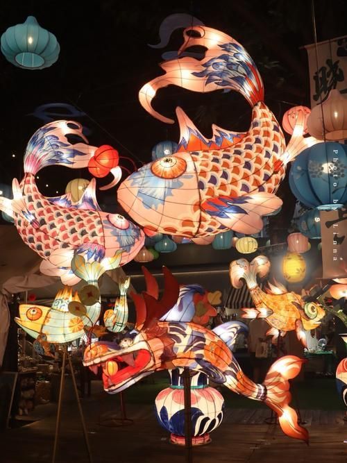 龍魚CCTV11節(jié)目有哪些類型?,cctv11節(jié)目有哪些類型? 龍魚百科 第4張 龍魚CCTV11節(jié)目有哪些類型?,cctv11節(jié)目有哪些類型? 龍魚CCTV11節(jié)目有哪些類型?,cctv11節(jié)目有哪些類型? 龍魚百科 第4張