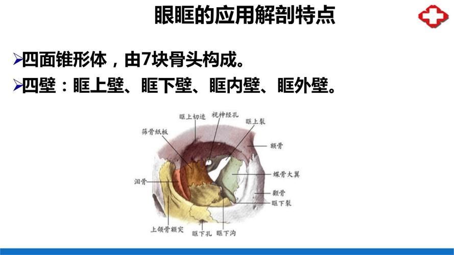 有哪些藥物可以幫助治療魚突眼，“魚突眼”并非醫學標準術語可以幫助治療魚突眼ted