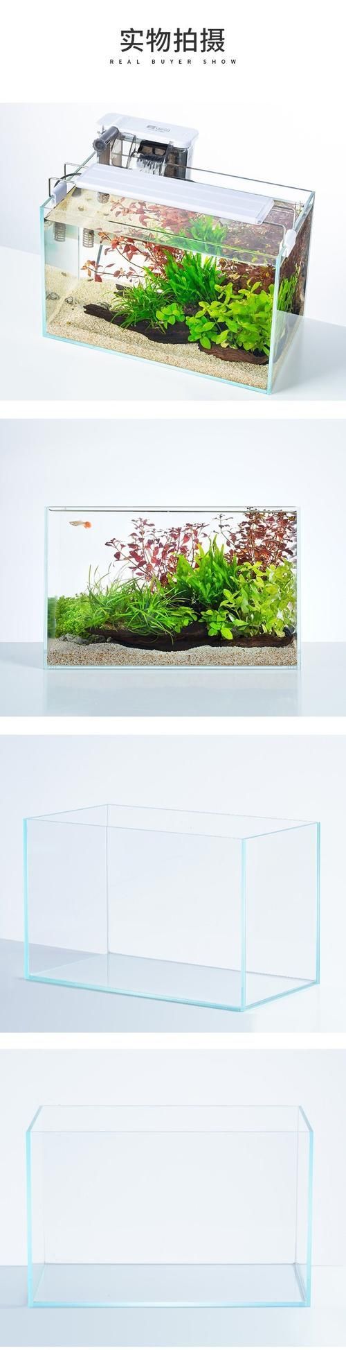 推薦幾款適合新手的魚缸，適合新手養魚的魚缸推薦