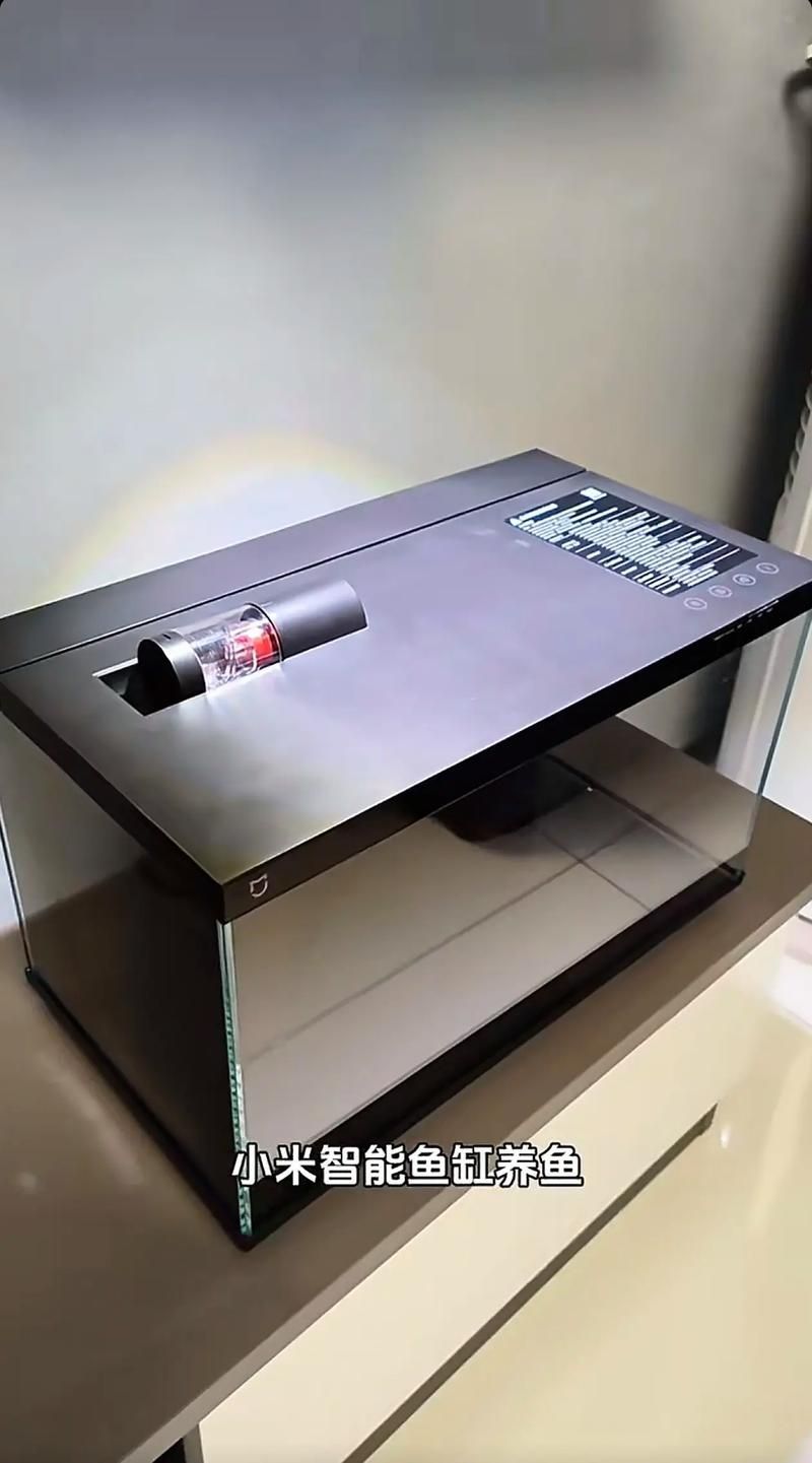 推薦幾款適合新手的魚缸，適合新手養魚的魚缸推薦