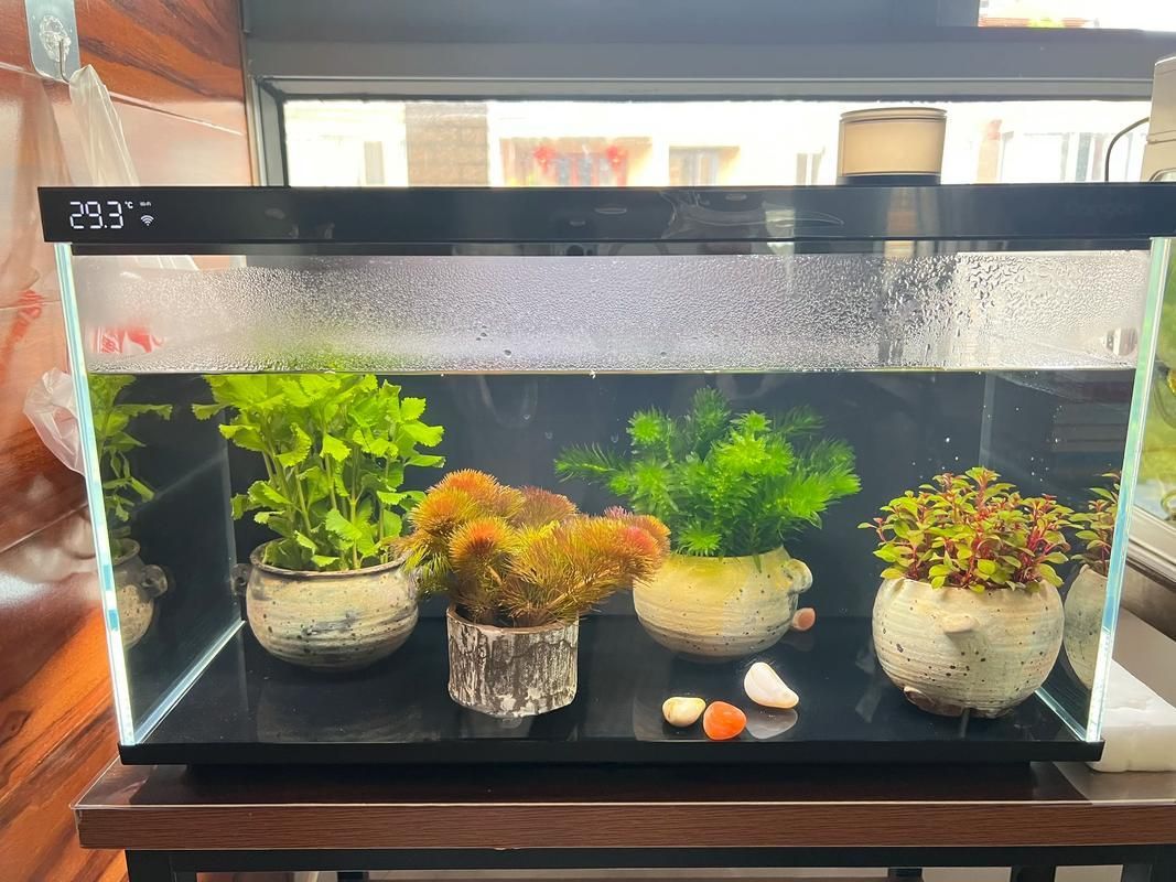 推薦幾款適合新手的魚缸，適合新手養魚的魚缸推薦