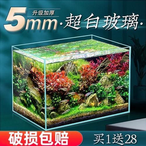 推薦幾款適合新手的魚缸，適合新手養魚的魚缸推薦