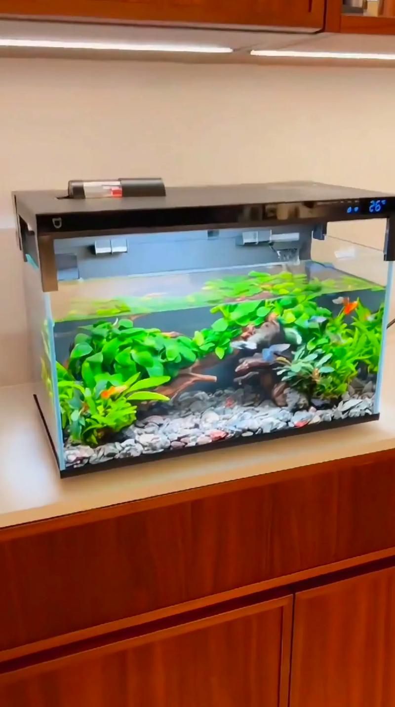 推薦幾款適合新手的魚缸，適合新手養魚的魚缸推薦