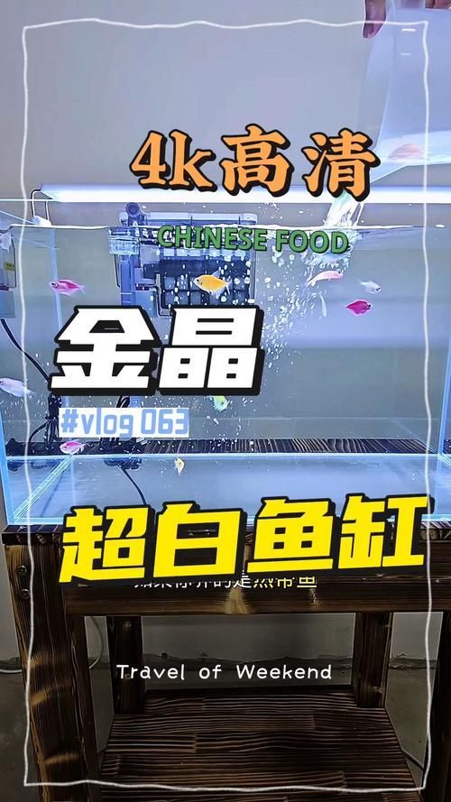 推薦幾款適合新手的魚缸，適合新手養魚的魚缸推薦