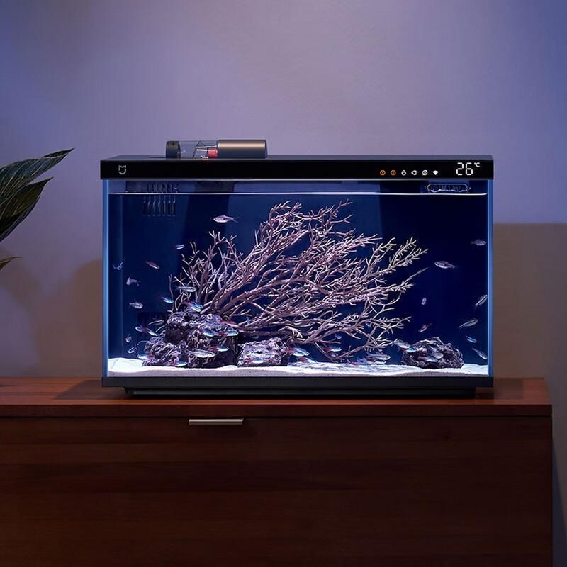 推薦幾款適合新手的魚缸，適合新手養魚的魚缸推薦