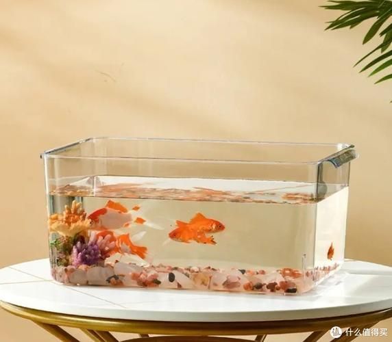 推薦幾款適合新手的魚缸，適合新手養魚的魚缸推薦