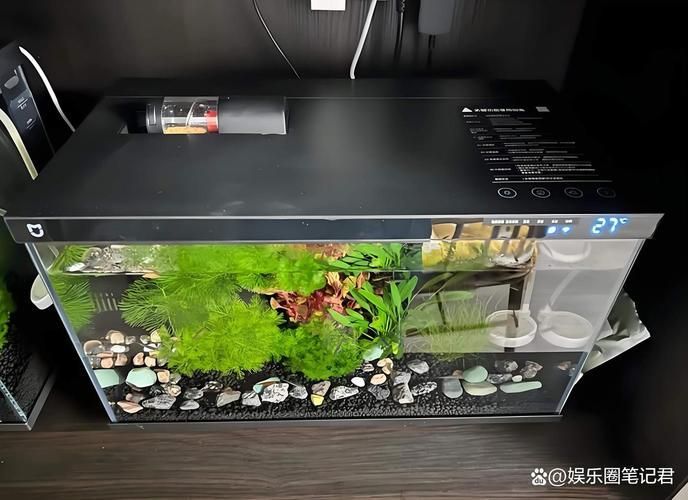 推薦幾款適合新手的魚缸，適合新手養魚的魚缸推薦