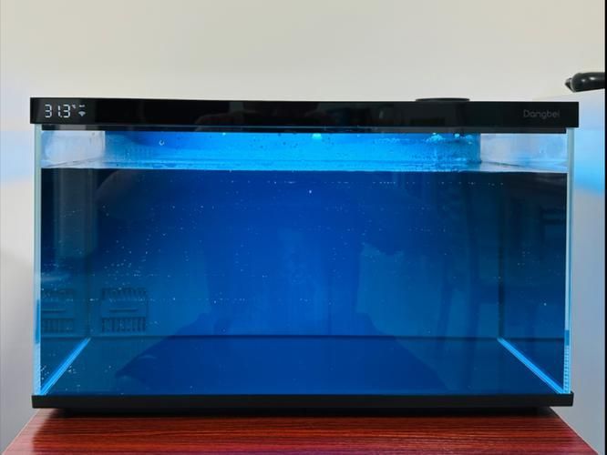 推薦幾款適合新手的魚缸，適合新手養魚的魚缸推薦