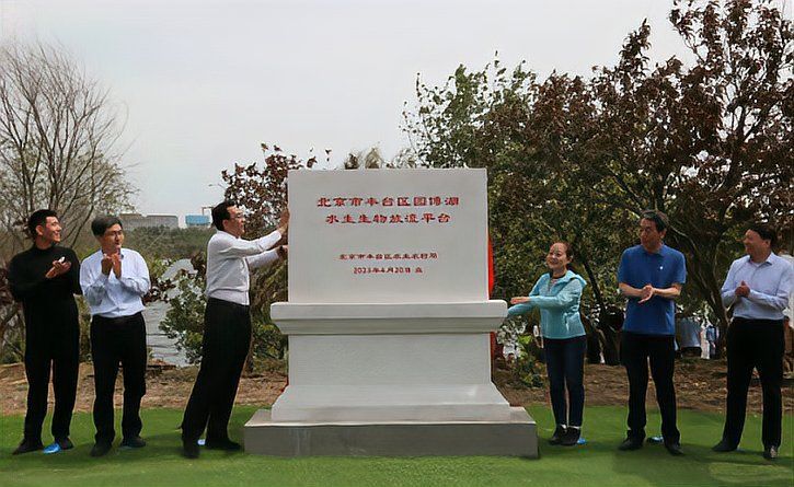 虎斑恐龍魚放生需要哪些手續？，虎斑恐龍魚放生手續