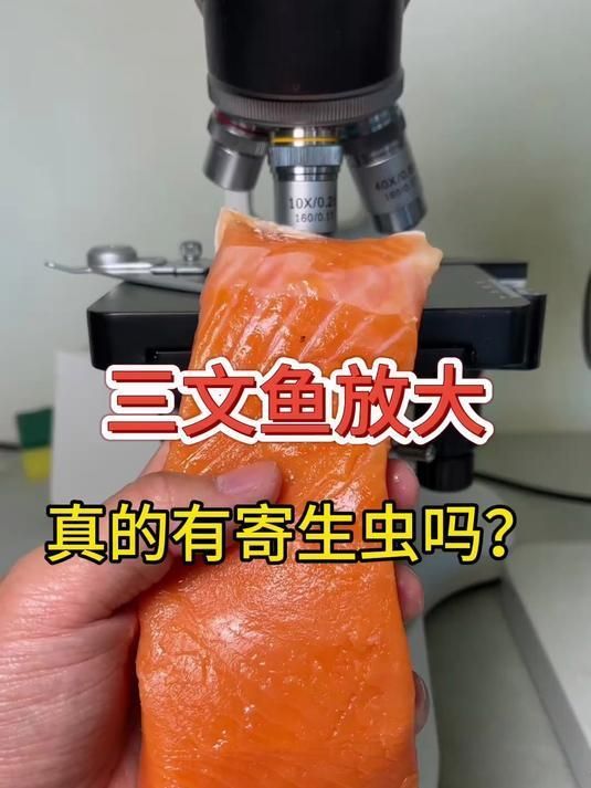 如何用顯微鏡檢測魚寄生蟲