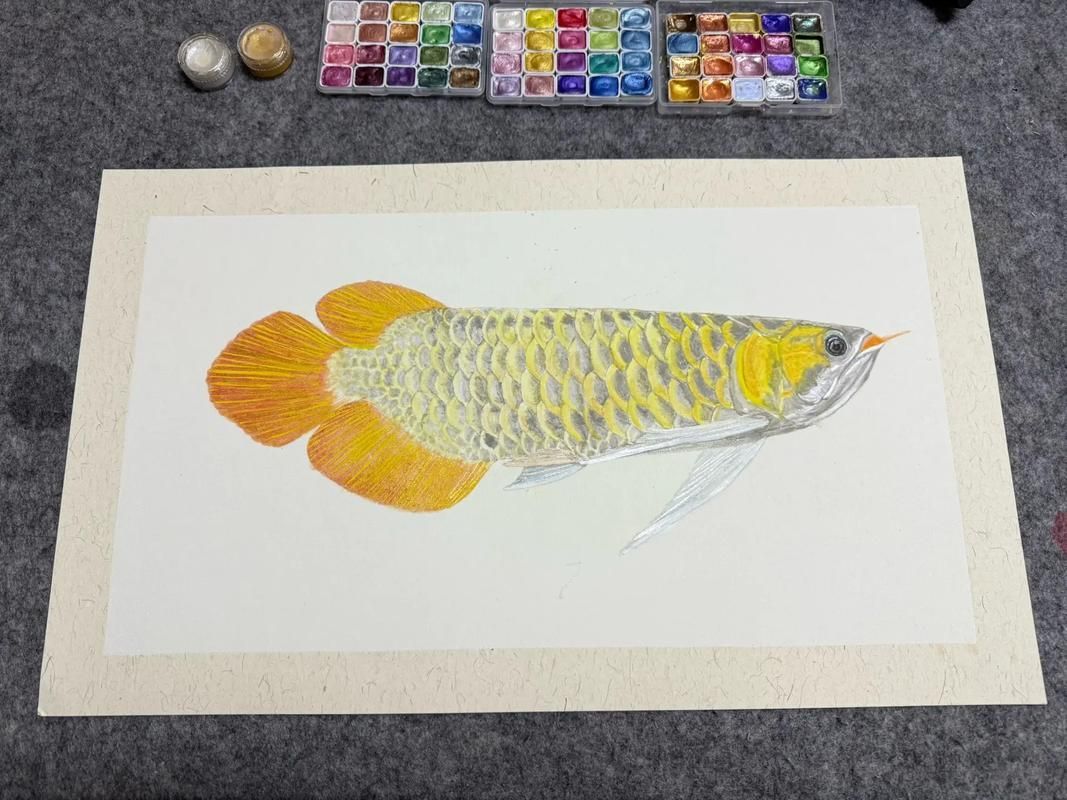 有沒有更多風格的金龍魚手繪作品？，探索金龍魚的多樣性