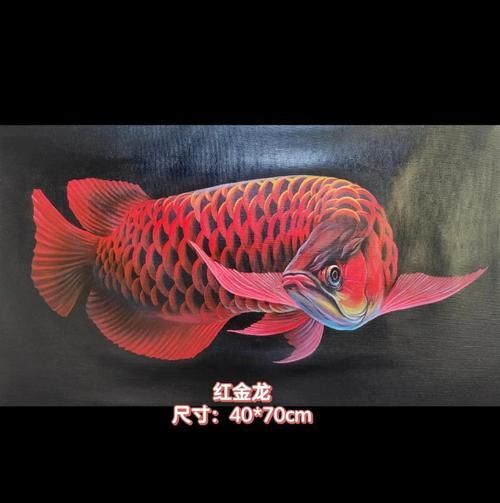 有沒有更多風格的金龍魚手繪作品？，探索金龍魚的多樣性