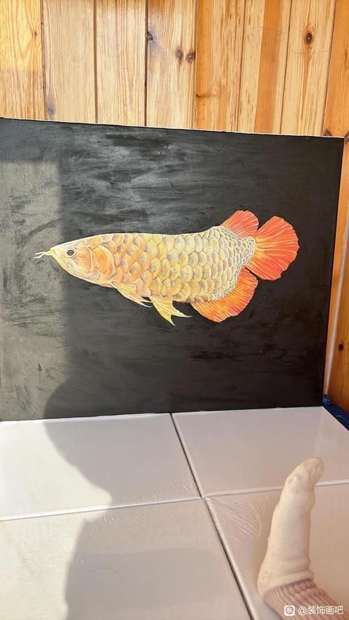 有沒有更多風格的金龍魚手繪作品？，探索金龍魚的多樣性