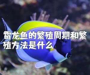 詳解（1000字和配圖）如何預(yù)防龍魚出現(xiàn)抽搐？，如何預(yù)防龍魚抽搐