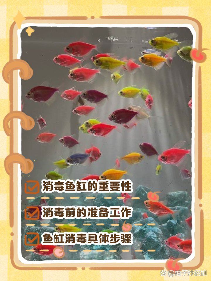 龍魚死亡后應該如何處理魚缸？，龍魚死亡后如何處理魚缸？ 龍魚死亡后應該如何處理魚缸？，龍魚死亡后如何處理魚缸？ 龍魚百科 第1張