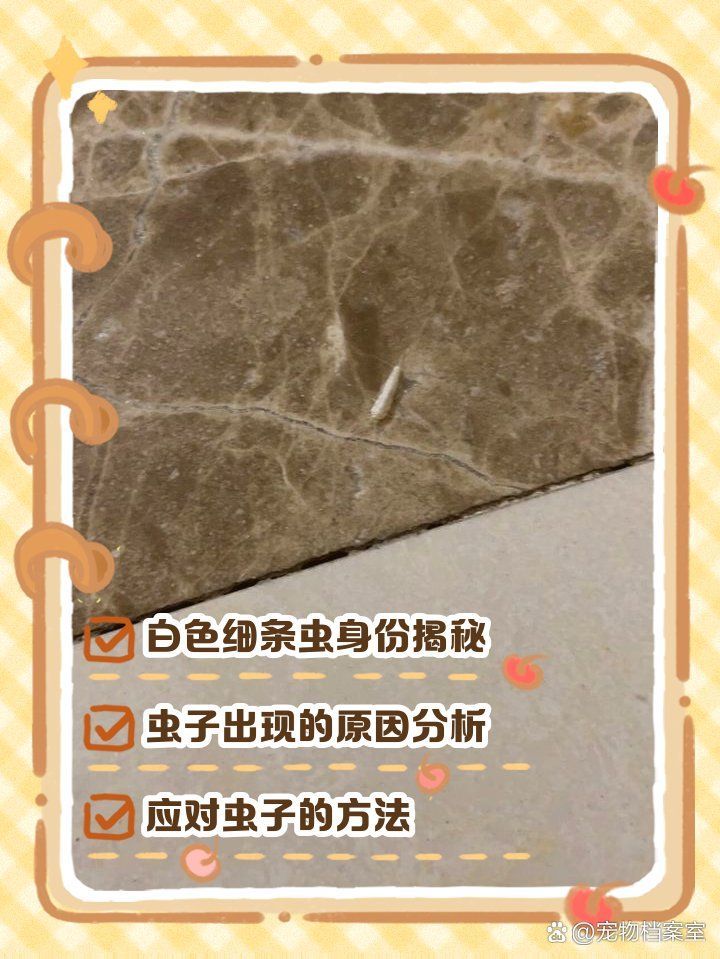 如何判斷魚缸里有哪些蟲，判斷魚缸里有哪些蟲的方法