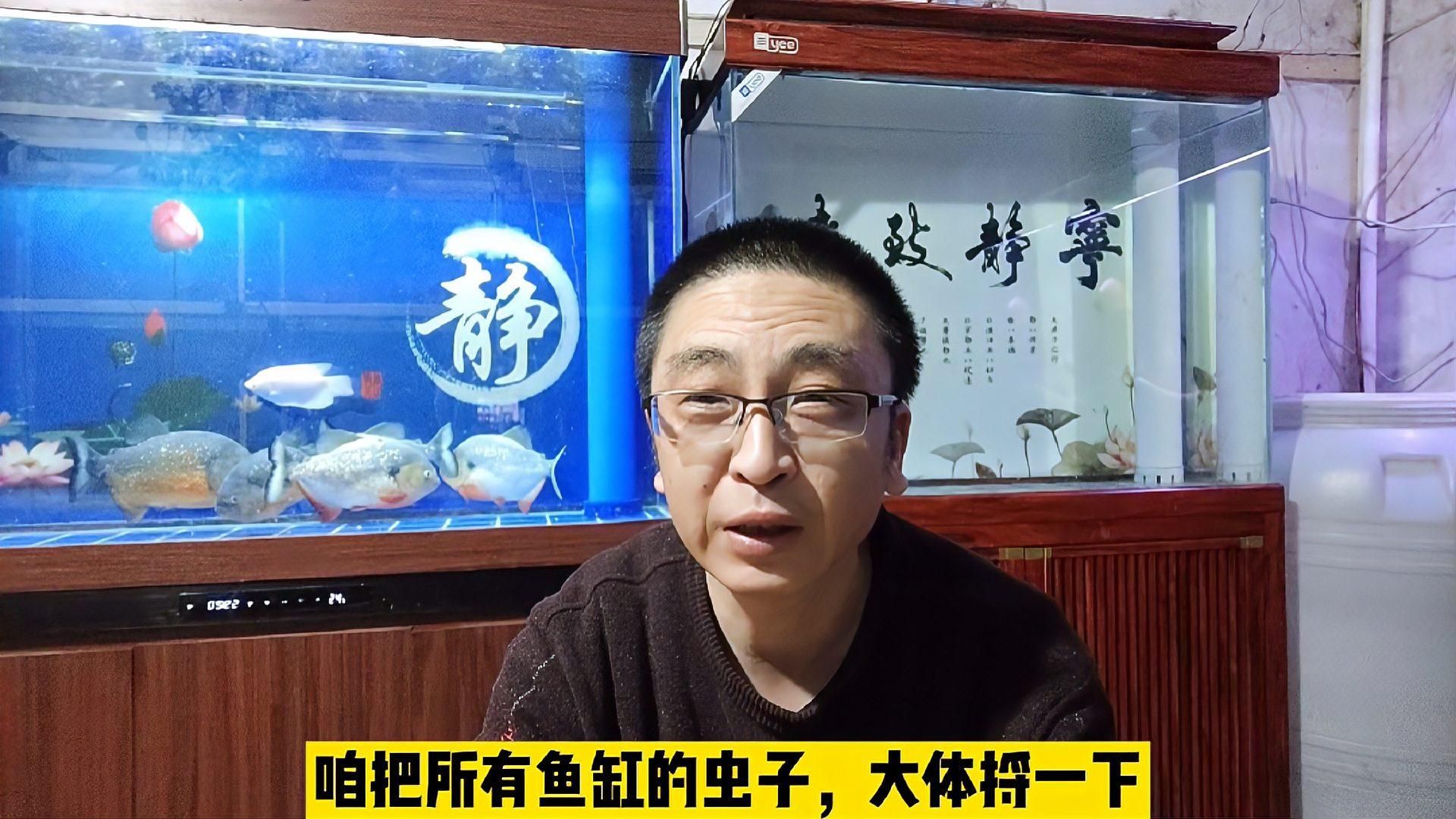 如何判斷魚缸里有哪些蟲，判斷魚缸里有哪些蟲的方法