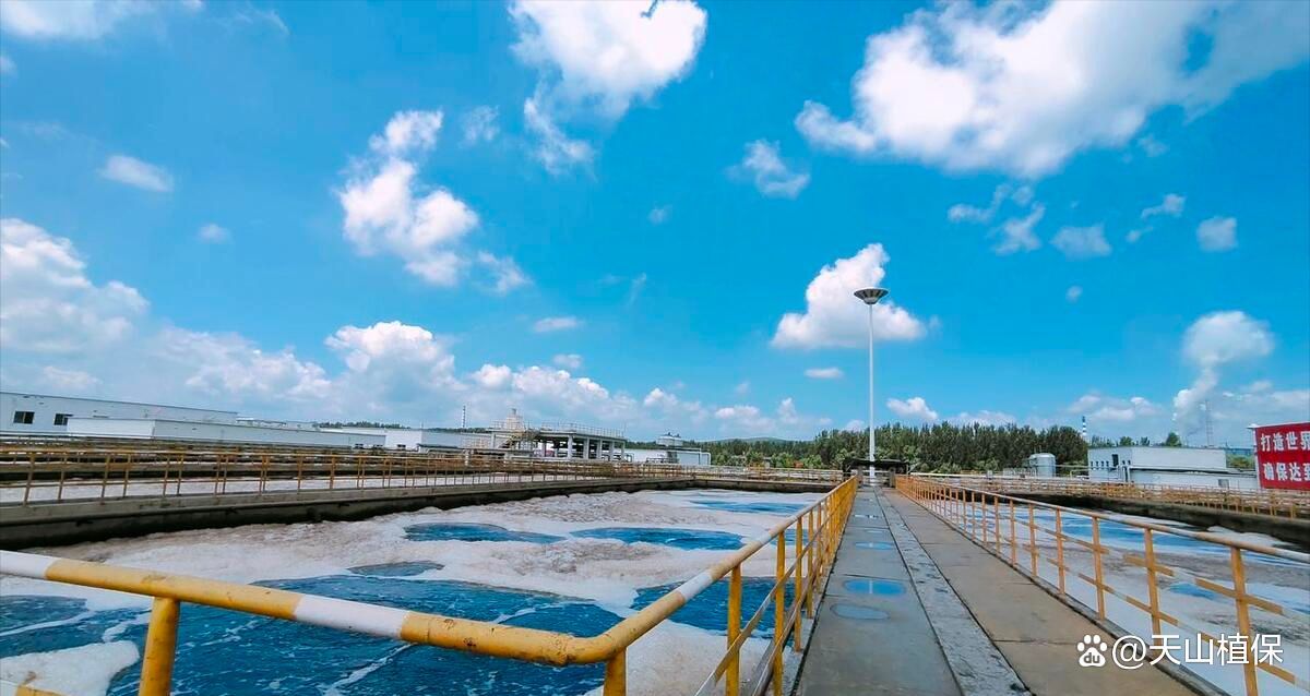 如何測(cè)量和維持魚(yú)缸中的鹽度，如何測(cè)量和維持魚(yú)缸中的鹽度思考完成鹽度思考完成 如何測(cè)量和維持魚(yú)缸中的鹽度，如何測(cè)量和維持魚(yú)缸中的鹽度思考完成鹽度思考完成 龍魚(yú)百科 第8張