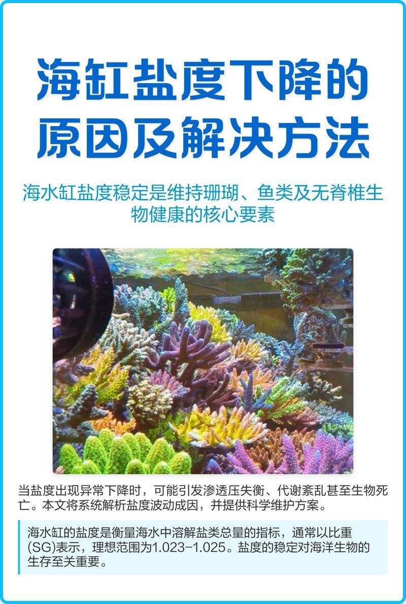 如何測(cè)量和維持魚(yú)缸中的鹽度，如何測(cè)量和維持魚(yú)缸中的鹽度思考完成鹽度思考完成 如何測(cè)量和維持魚(yú)缸中的鹽度，如何測(cè)量和維持魚(yú)缸中的鹽度思考完成鹽度思考完成 龍魚(yú)百科 第9張
