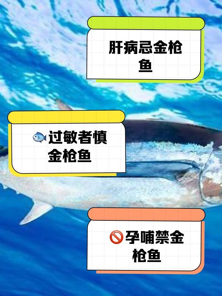 金槍魚有哪些常見的健康風(fēng)險(xiǎn)，金槍魚常見的幾類健康隱患，值得每個(gè)人關(guān)注，