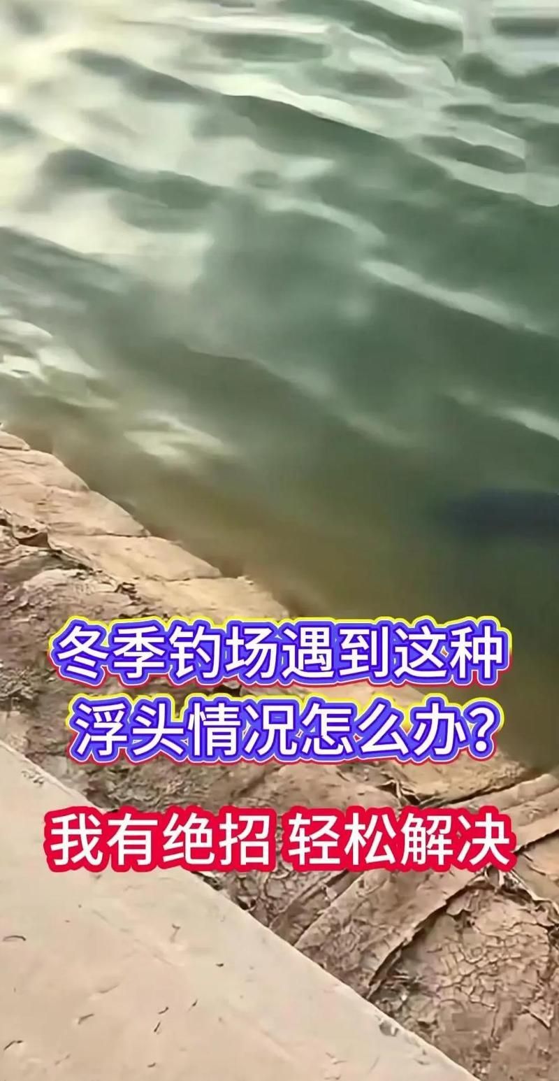 龍魚浮頭張嘴最簡單三個步驟，龍魚浮頭張嘴最簡單三個步驟思考完成