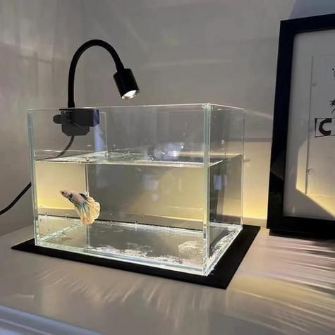 如何判斷一個(gè)魚缸是否優(yōu)質(zhì)？
