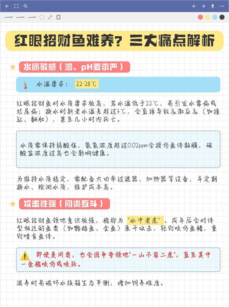 哪些魚類不適合與紅眼招財魚混養(yǎng)，不適合與紅眼招財魚混養(yǎng)的魚類