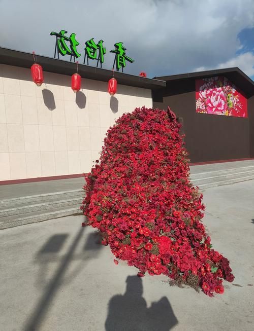 哪里可以購買到大花龍魚？，大花龍魚的購買方式 哪里可以購買到大花龍魚？，大花龍魚的購買方式 龍魚百科 第2張
