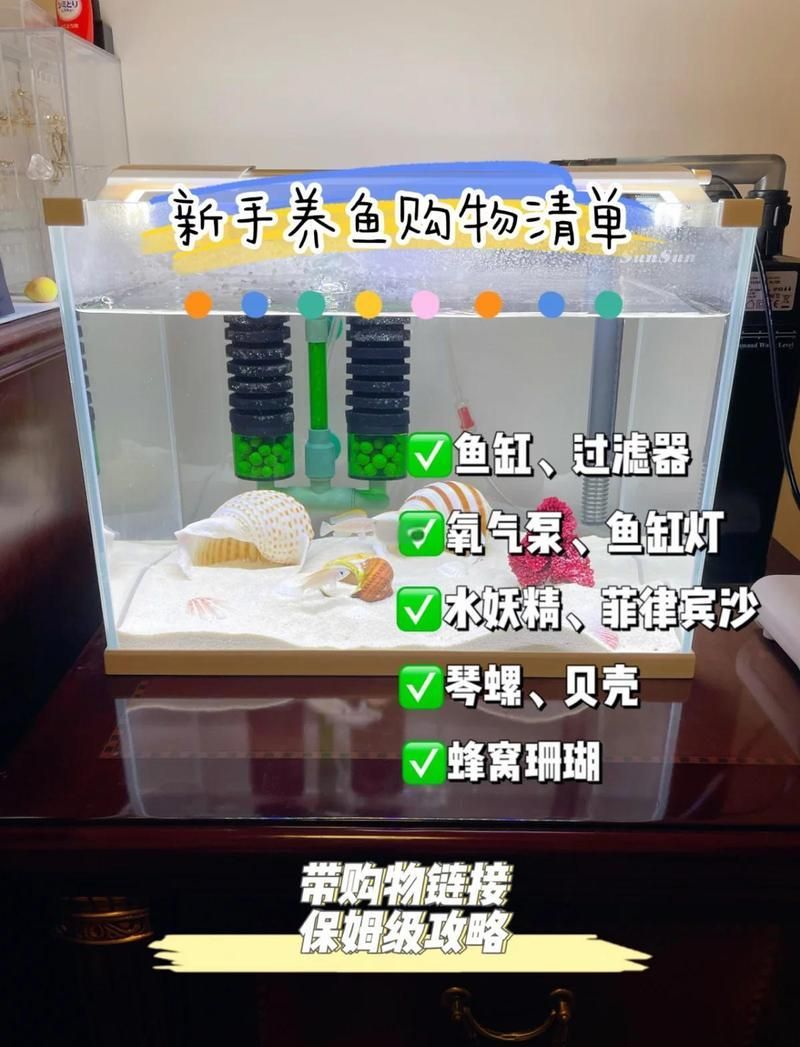 如何設置龍魚魚缸？