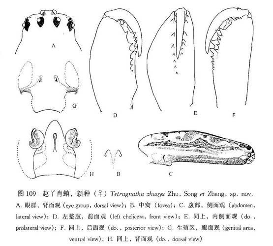 有哪些天然方法防治鲺和魚虱
