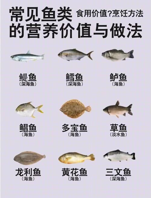 有哪些食物適合不同種類的魚,富媒體組件庫中已召回多個高質量note魚、金魚、金魚、金魚 龍魚百科 第1張 有哪些食物適合不同種類的魚,富媒體組件庫中已召回多個高質量note魚、金魚、金魚、金魚 有哪些食物適合不同種類的魚,富媒體組件庫中已召回多個高質量note魚、金魚、金魚、金魚 龍魚百科 第1張