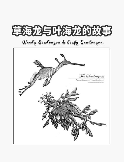 如何區分不同種類的海龍魚？，如何區分不同種類海龍魚