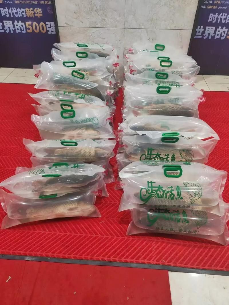 觀賞魚批發(fā)，西安觀賞魚批發(fā)
